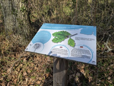 12 - Randonnée : Circuit du Geierstein - Wasselonne - Photo 5
