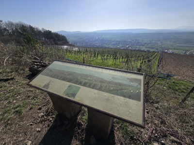 12 - Randonnée : Circuit du Geierstein - Wasselonne - Photo 7