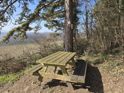 12 - Randonnée : Circuit du Geierstein - Wasselonne - Photo 6