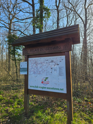 12 - Randonnée : Circuit du Geierstein - Wasselonne - Photo 8