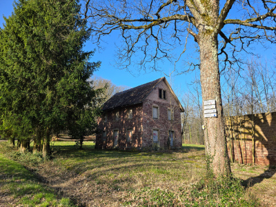 12 - Randonnée : Circuit du Geierstein - Wasselonne - Photo 9