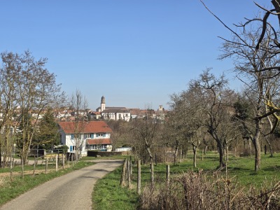 12 - Randonnée : Circuit du Geierstein - Wasselonne - Photo 11