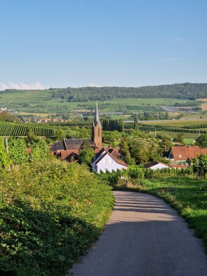 20 - Randonnée : Circuit du Rutscherle - Dahlenheim - Photo 5