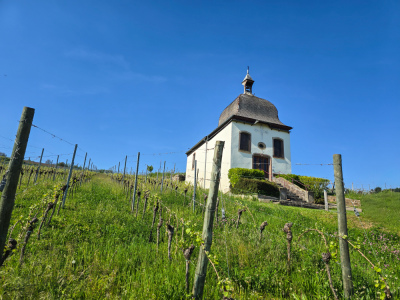 Photo prise liée au parcours