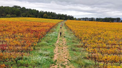 21Km - Course des Châteaux 2026 - Le Puy-Sainte-Réparade - Photo 3