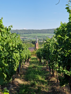 21 - Randonnée : Circuit de Balbronn - Balbronn - Photo 3