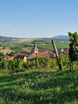 21 - Randonnée : Circuit de Balbronn - Balbronn - Photo 2
