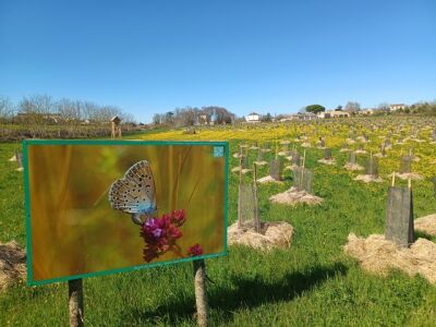 Photo prise liée au parcours
