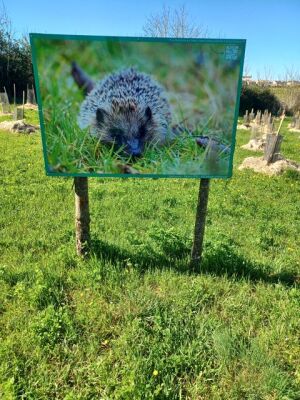 Photo prise liée au parcours