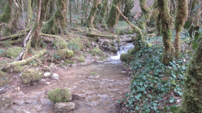 Photo prise liée au parcours