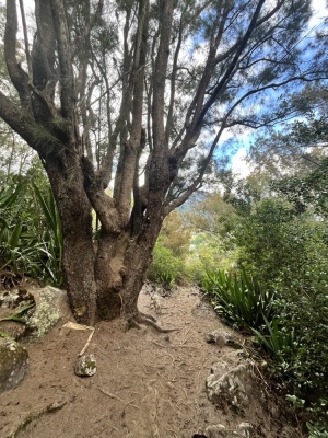 Photo prise liée au parcours