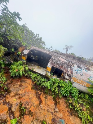 [Guadeloupe] L’avion depuis les bains jaunes - Saint-Claude - Photo 3