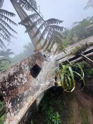[Guadeloupe] L’avion depuis les bains jaunes - Saint-Claude - Photo 6