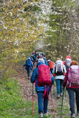 Photo prise liée au parcours