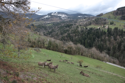 Photo prise liée au parcours