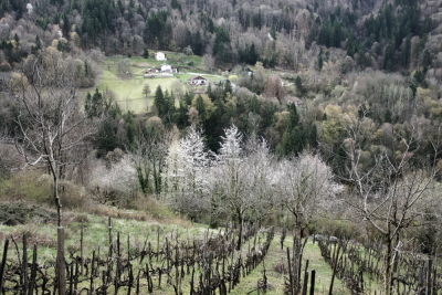 Photo prise liée au parcours
