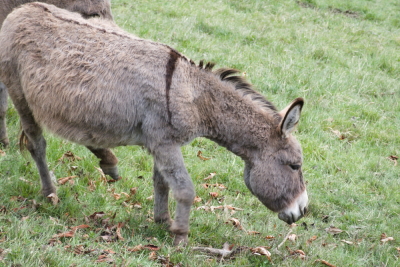 Photo prise liée au parcours