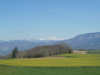 Une belle vue sur le Mt-Blanc