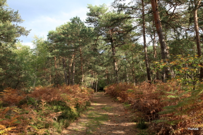Photo prise liée au parcours
