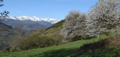 Photo prise liée au parcours