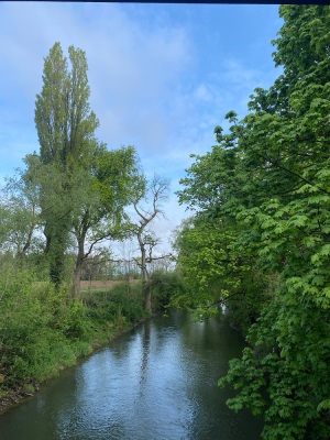 Autour de Ruelisheim