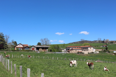 Aux confins du Rhône - Chambost-Longessaigne - Photo 3