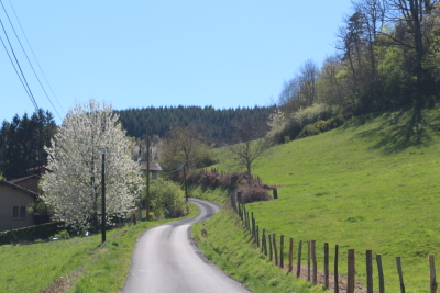 Aux confins du Rhône - Chambost-Longessaigne - Photo 5