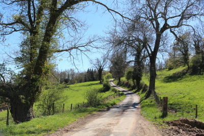 Aux confins du Rhône - Chambost-Longessaigne - Photo 6