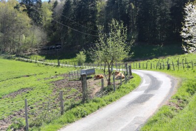 Aux confins du Rhône - Chambost-Longessaigne - Photo 10
