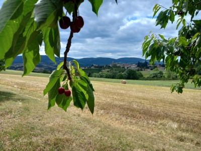 Photo prise liée au parcours