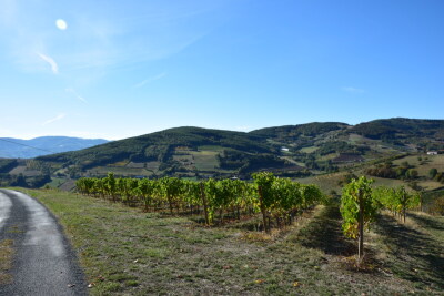 Le panoramique - Sain-Bel - Photo 1