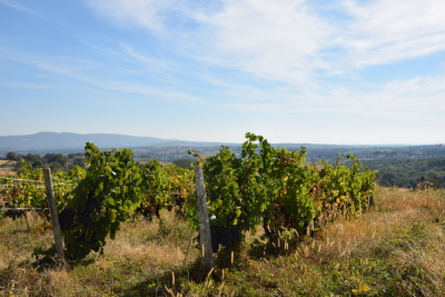 Photo prise liée au parcours