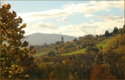 Entre Bully et Saint-Germain - Bully - Photo 1