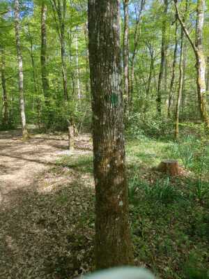Photo prise liée au parcours