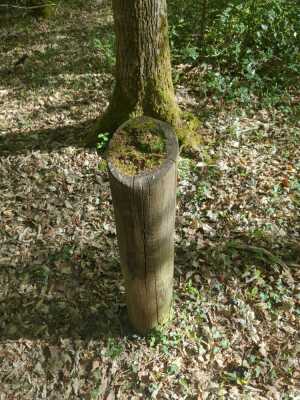 Photo prise liée au parcours