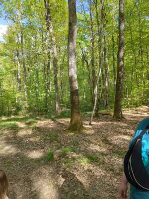 Photo prise liée au parcours