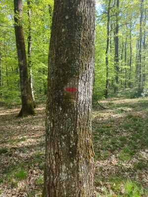 Photo prise liée au parcours
