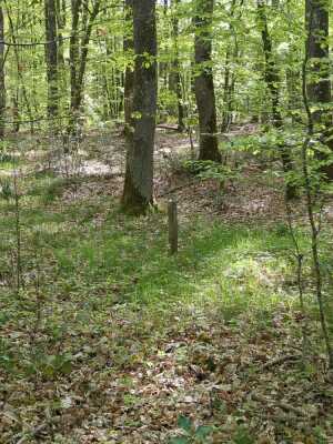 Photo prise liée au parcours