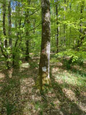 Photo prise liée au parcours