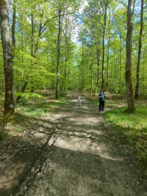 Photo prise liée au parcours