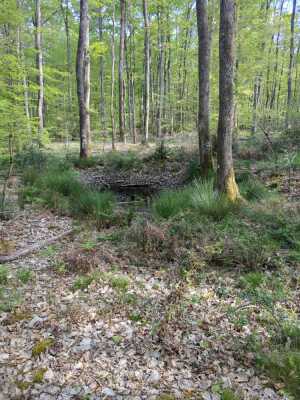 Photo prise liée au parcours