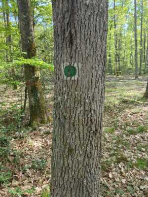 Photo prise liée au parcours