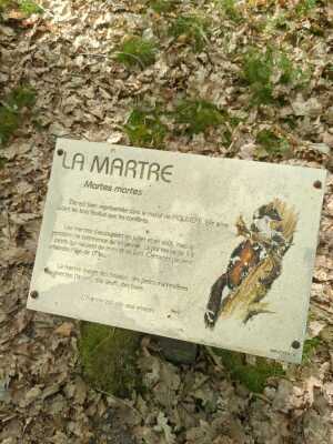 Photo prise liée au parcours