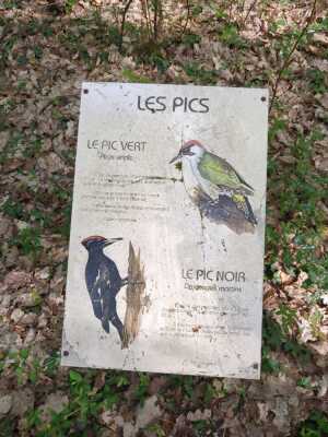 Photo prise liée au parcours