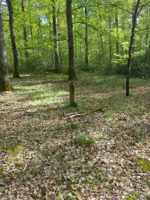 Photo prise liée au parcours