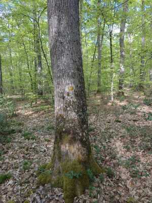 Photo prise liée au parcours