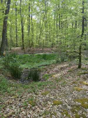 Photo prise liée au parcours