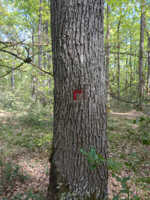 Photo prise liée au parcours