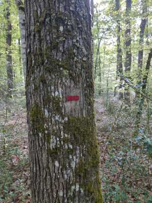 Photo prise liée au parcours
