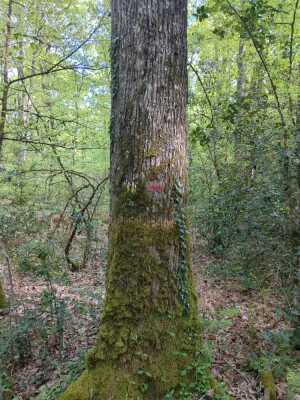 Photo prise liée au parcours